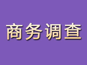 正蓝旗商务调查